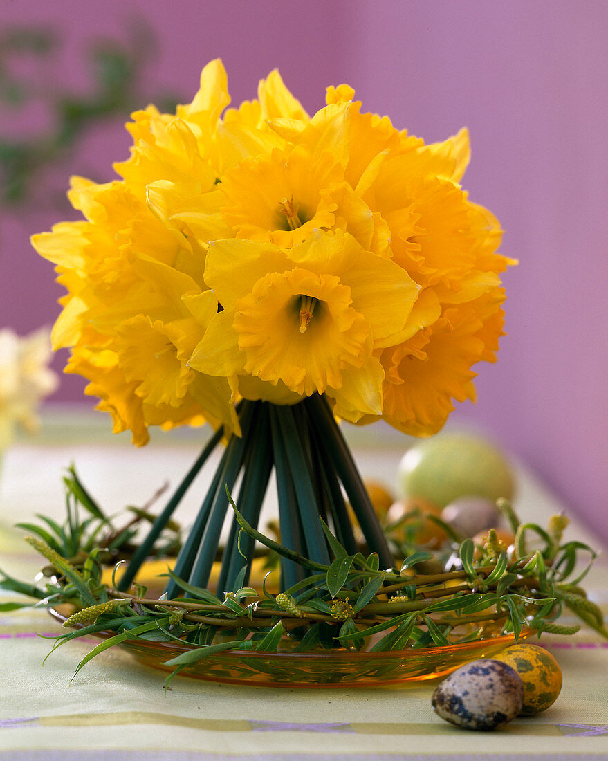 Narcissus (Narcissus) as a standing bouquet