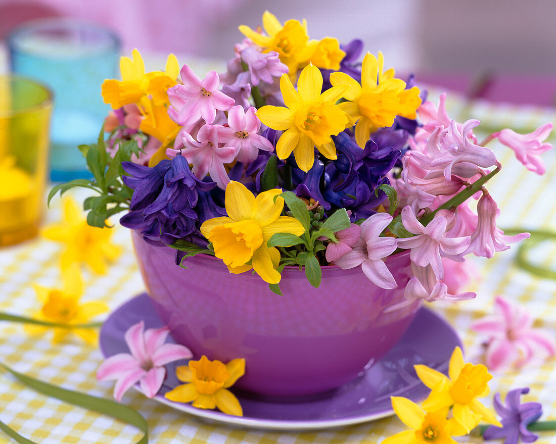 Narcissus (Narcissus), Hyacinthus (Blue and Pink Hyacinths)