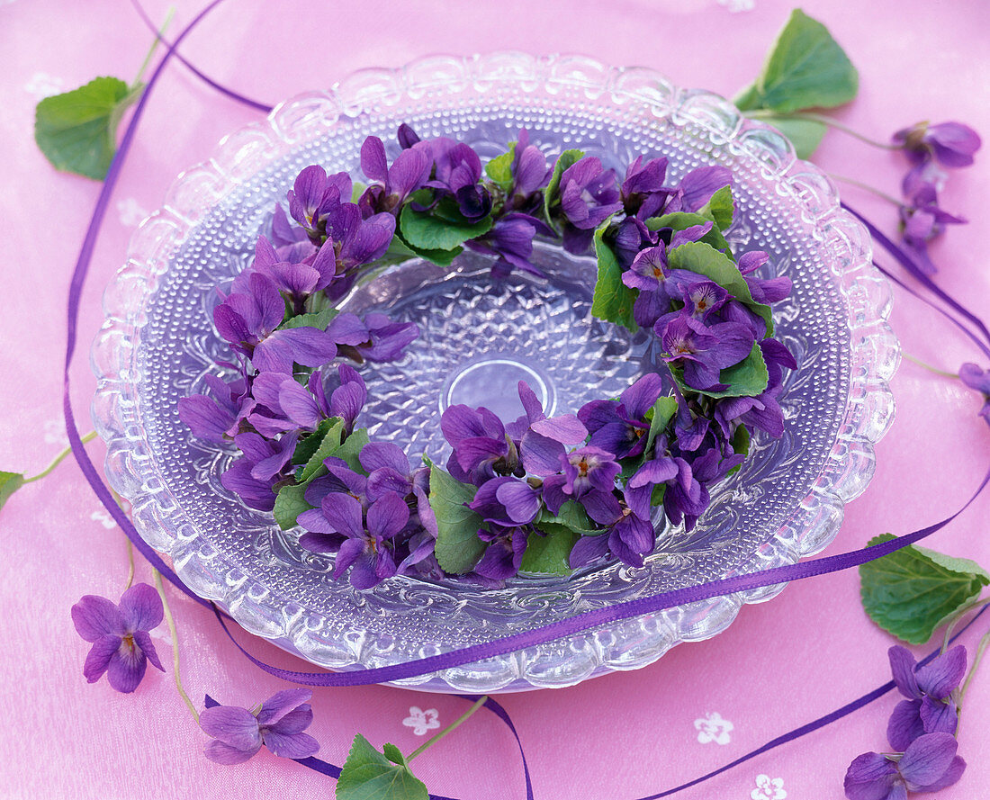 Viola odorata (Scented Violet Wreath)