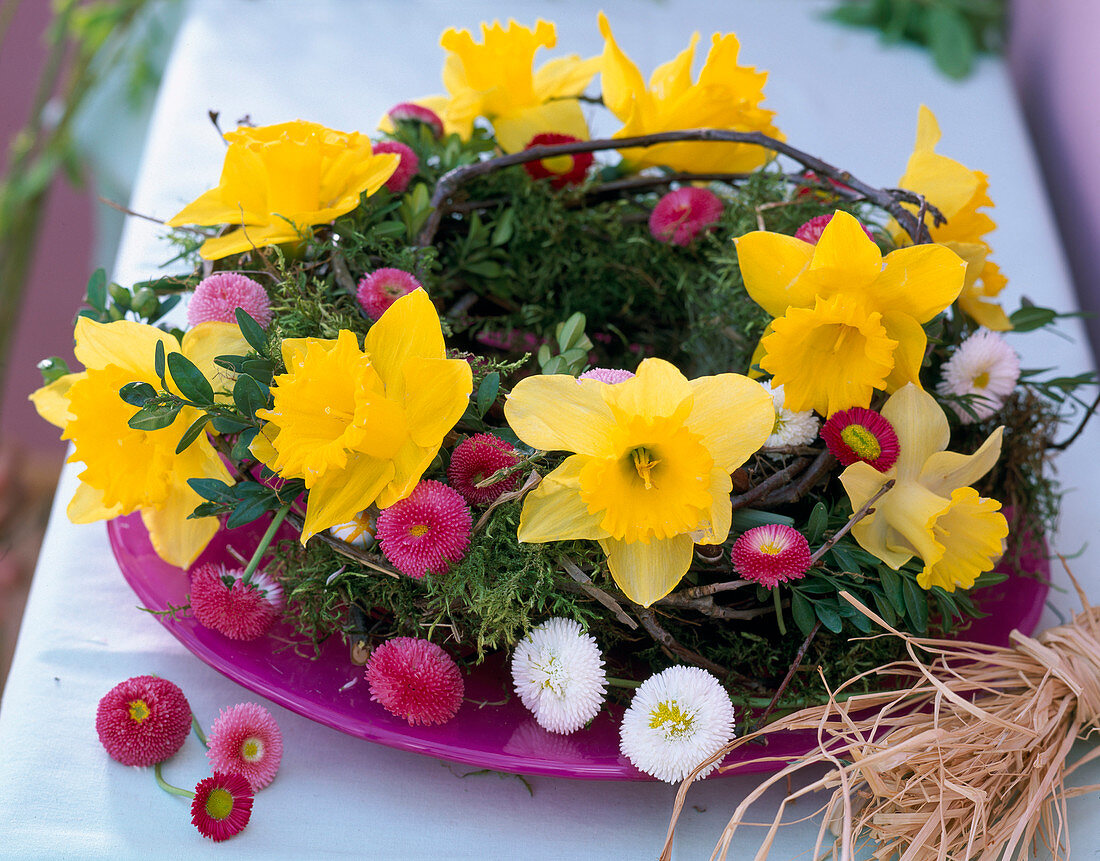 Moss wreath with Narcissus (Daffodil)