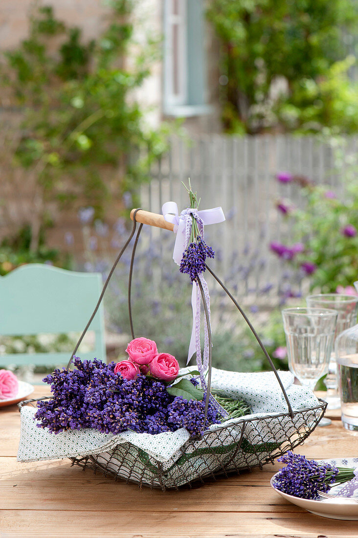 Drahtkorb mit Lavandula (Lavendel) und Blüten von Rosa