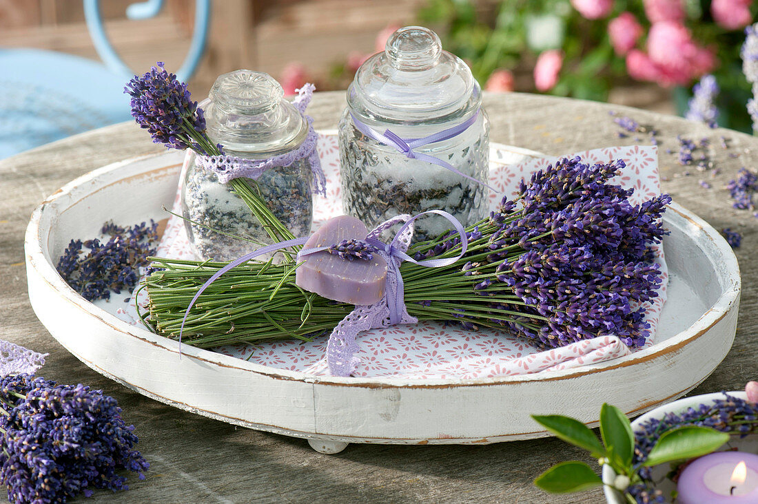 Self made gifts, bouquet of lavandula (lavender)