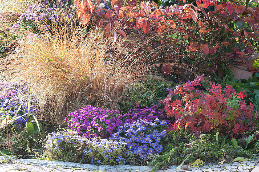 Autumn bed with perennials and grasses