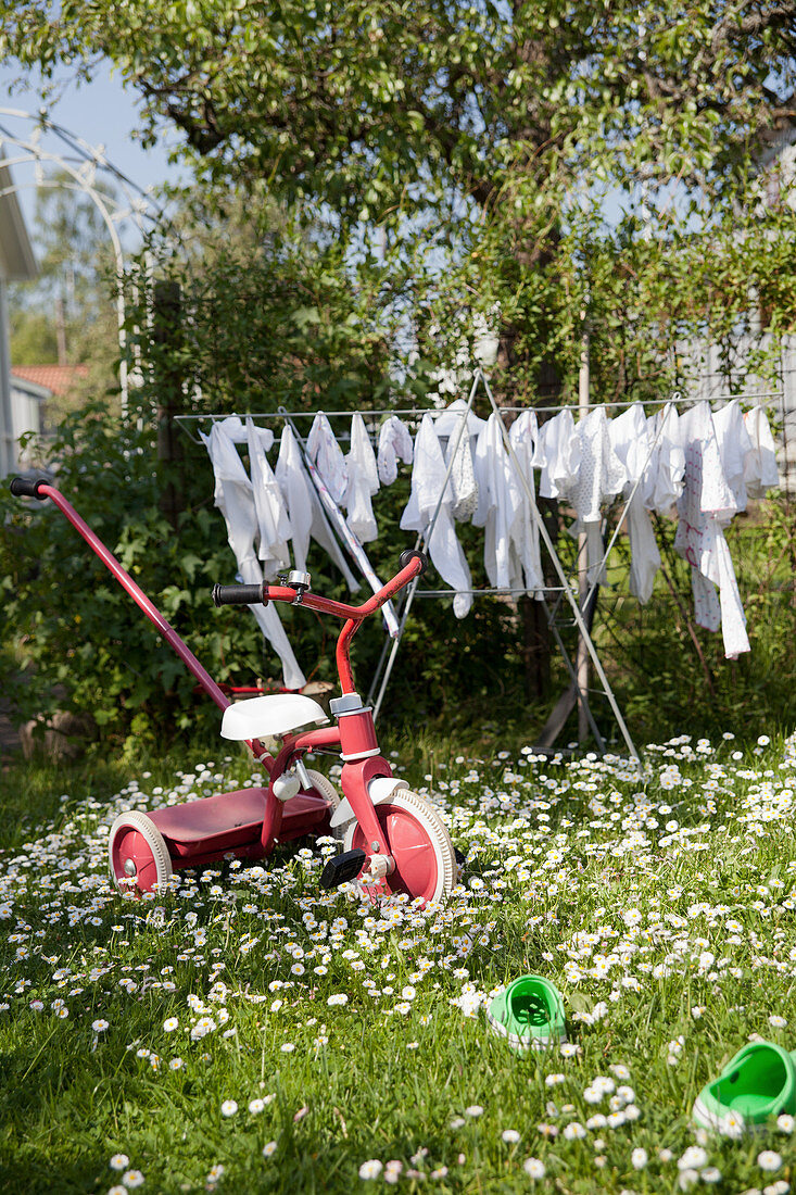 Altes Kinderdreirad und ein Wäscheständer auf der Wiese mit Gänseblümchen