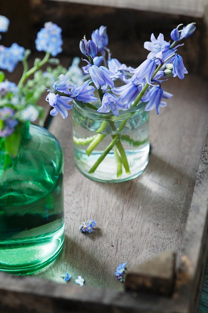 Glockenblumen im Glas und Vergissmeinnicht in einer grünen Flasche