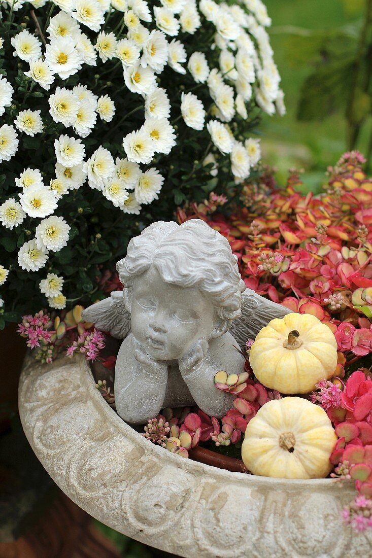 Engelfigur und Zierkürbisse in einer Pflanzschale mit Oktoberle