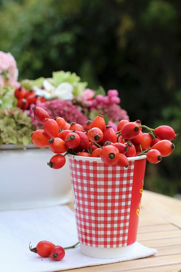 Rose hips in red and white gingham-patterned paper cup