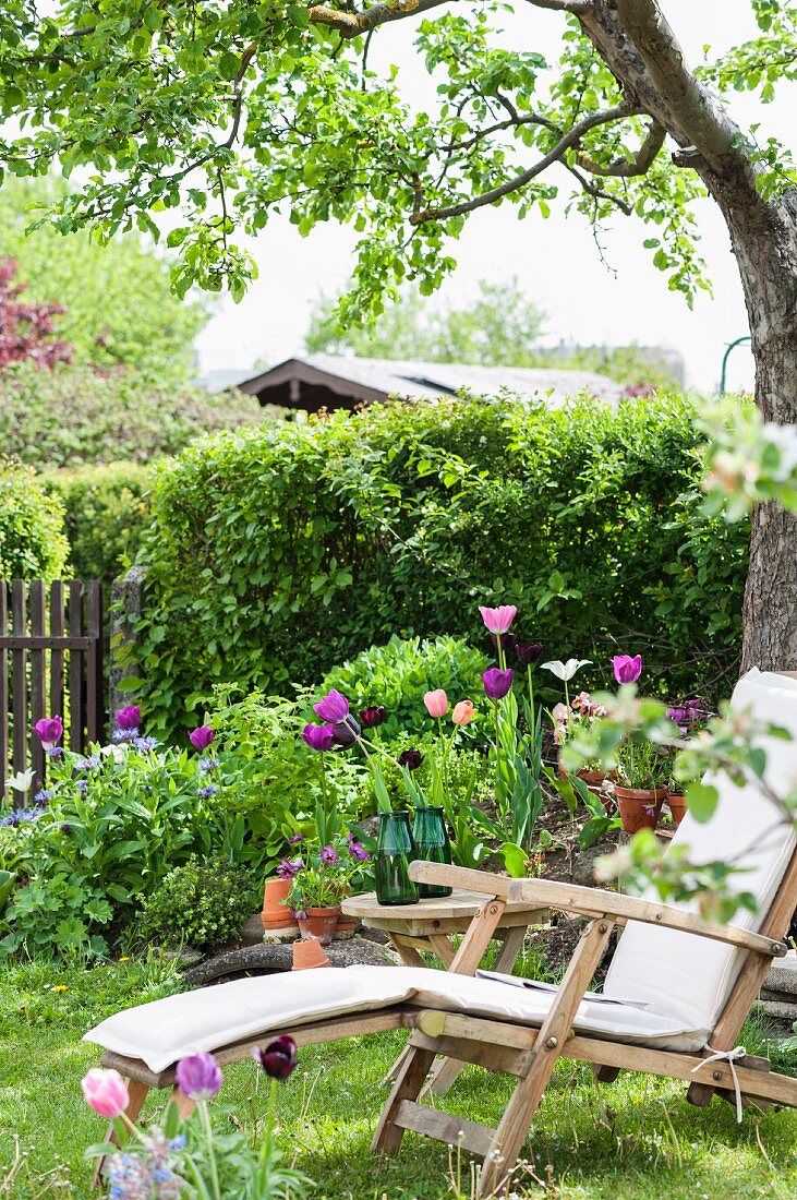 Holzliegestuhl und blühende Tulpen im Garten