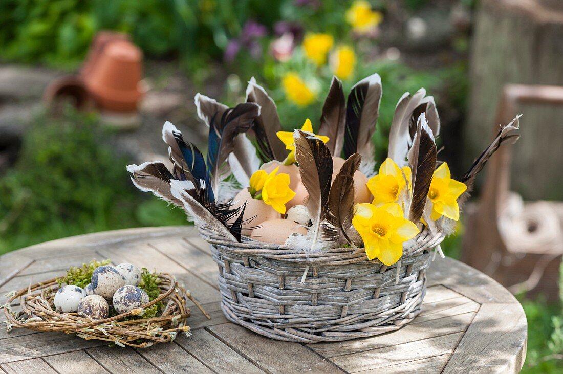 Korb mit Eiern, Vogelfedern und gelben Narzissen, daneben Osternest mit Wachteleiern auf Gartentisch