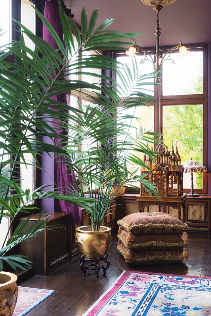 Potted palms in gold pots in drawing room