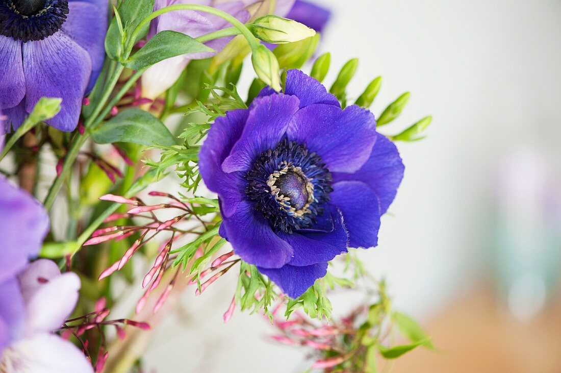 Detail eines Blumenstraußes mit blauen Anemonen