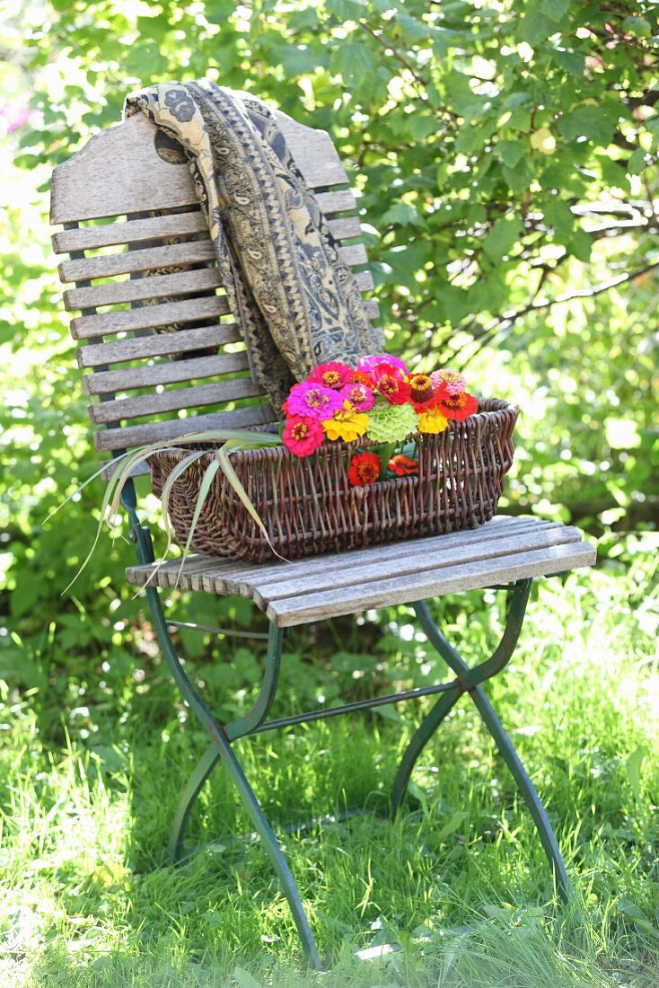 Korb mit bunten Zinnien und bedruckte Decke auf Klappstuhl im Garten