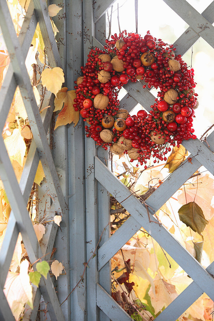Roter Beerenkranz mit Walnüssen und Mispeln am Gartentor