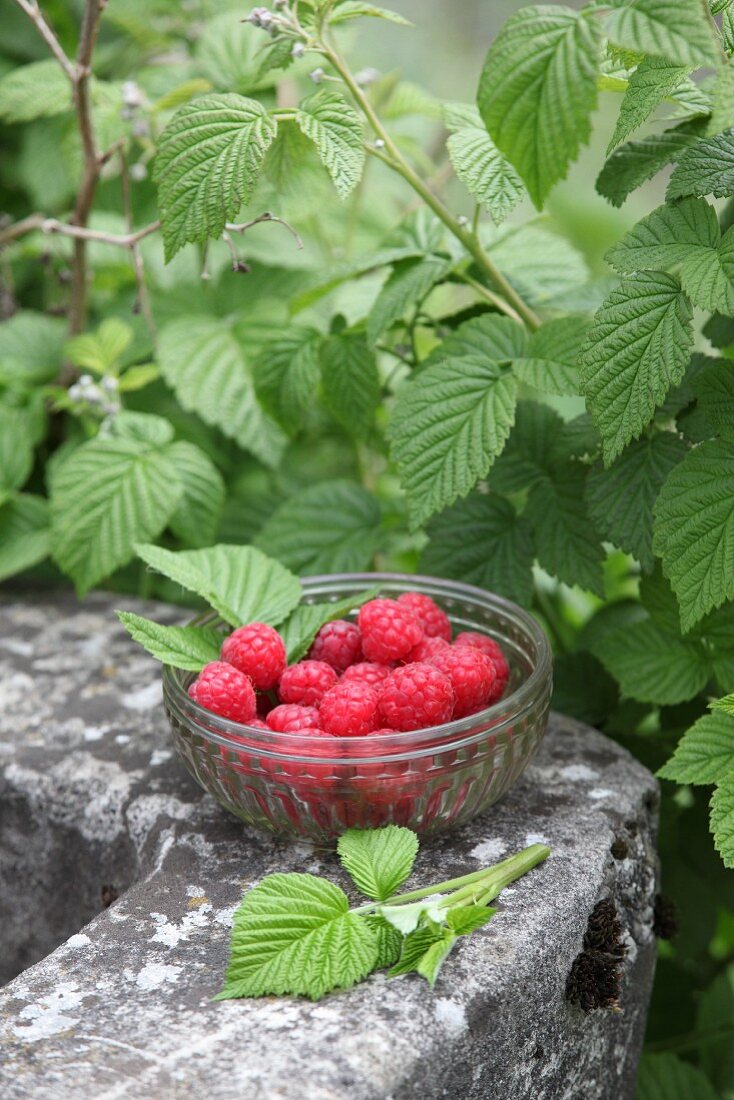 Small glass bowl of raspberries on stone
