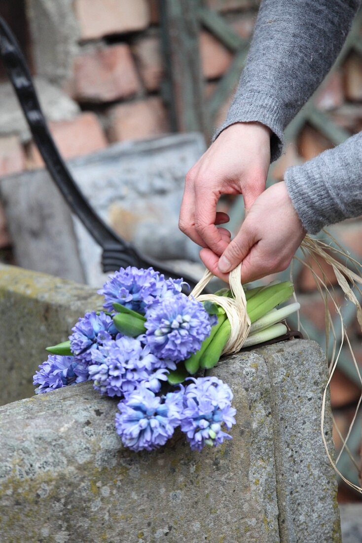 Hands typing bunch of hyacinths with raffia