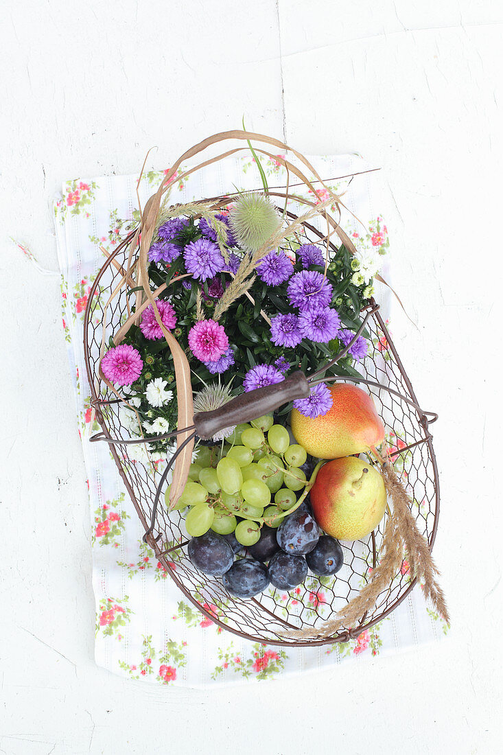 Basket of asters, grapes, pears and damsons for the harvest festival
