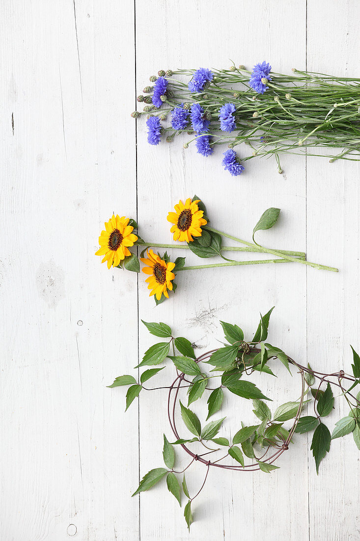 Kornblumen, Sonnenblumen und Clematisranken auf weißem Holzuntergrund