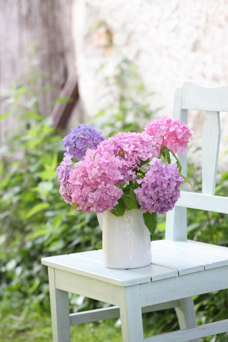 Hydrangeas of various colours in jug on white chair