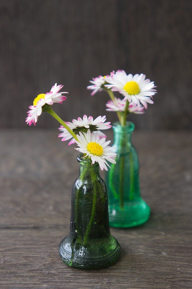 Daisies in tiny green glass bottles
