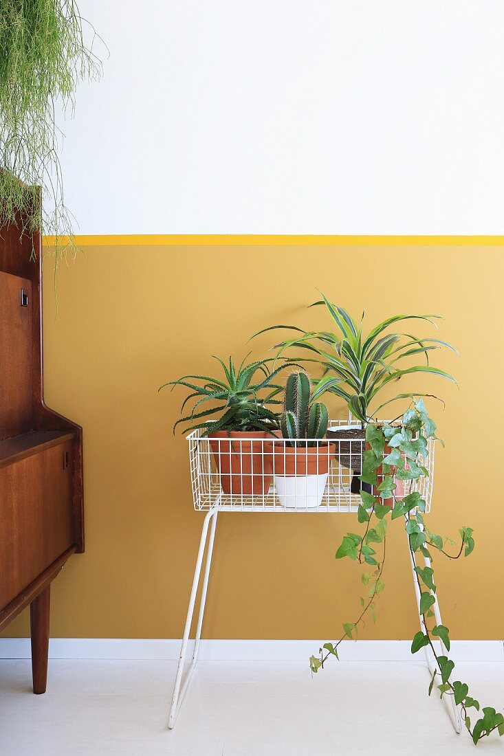 Weisses Drahtgestell als Blumenbank mit Zimmerpflanzen vor gelber Wand