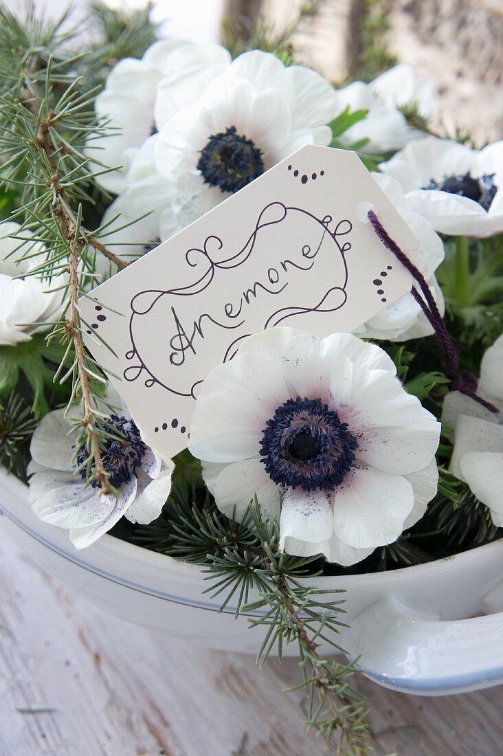 Hand-written tag amongst anemones arranged in soup tureen