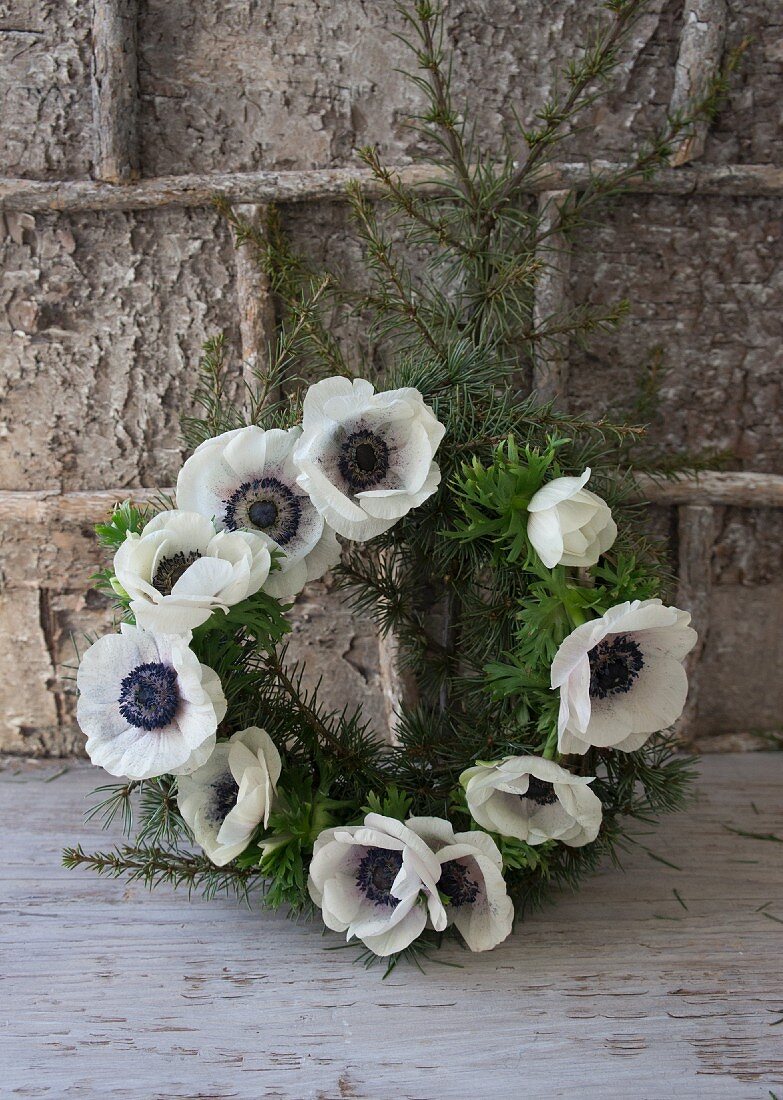 Wreath of larch twigs and white anemones leaning against bark-covered wall