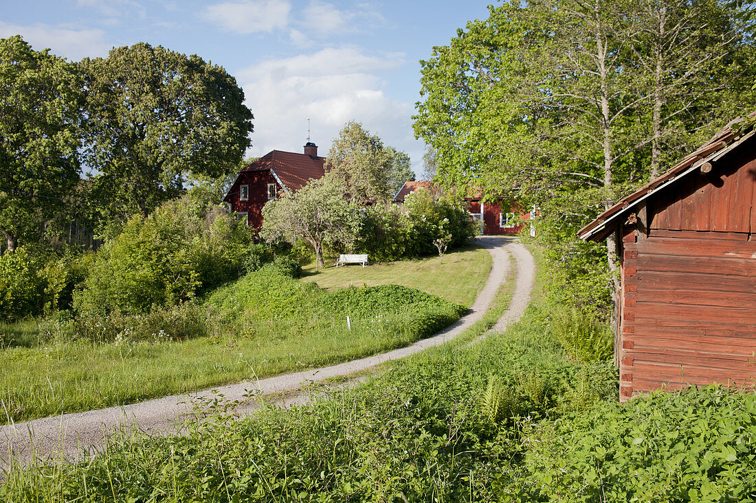 Country lane through summer meadows leading to red wooden houses