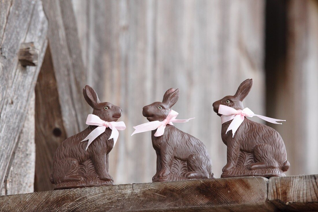 Three chocolate bunnies with pink ribbons