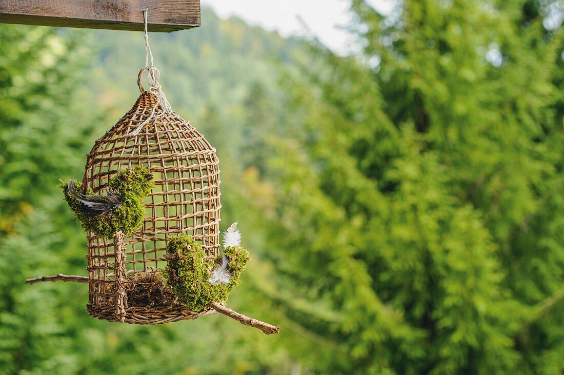 Vogelkäfig mit Vogelfiguren aus Moos an Holzbalken aufgehängt