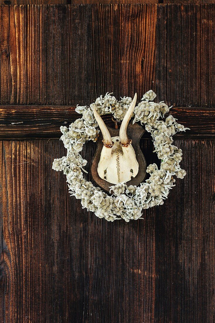 Hunting trophy in centre of floral wreath on wooden wall