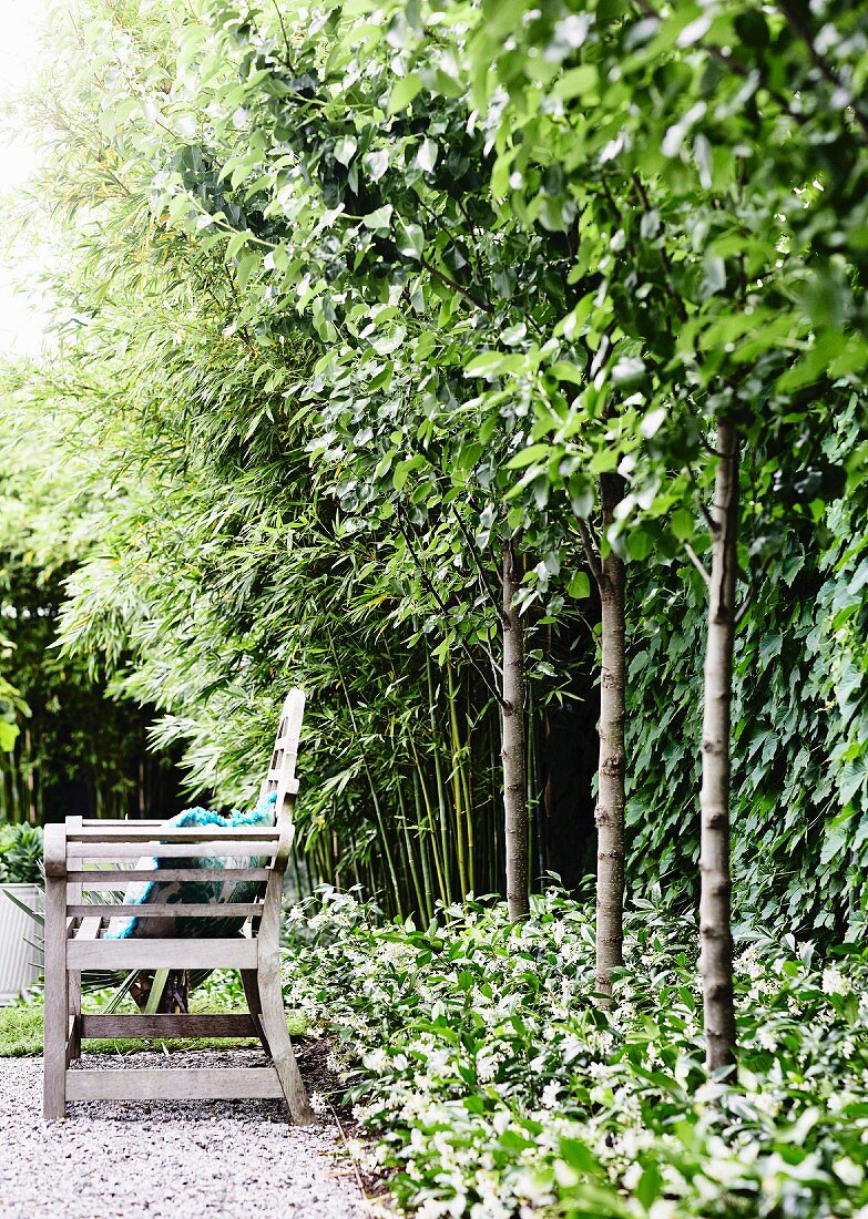 Garden bench stands in front of a row of small trees