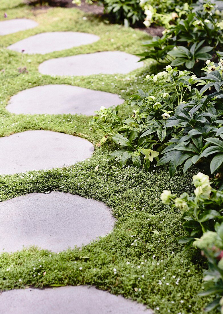 Gartenweg aus eingewachsenen Trittplatten