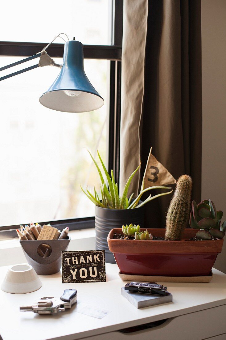 Kaktus und Sukkulenten vor Fenster neben 'Thank you'-Schild, Mundharmonika und Revolver