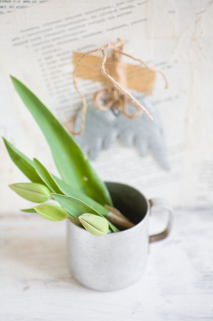 Tulpenknospen in einer Zinktasse vor mit Buchseiten tapezierter Wand