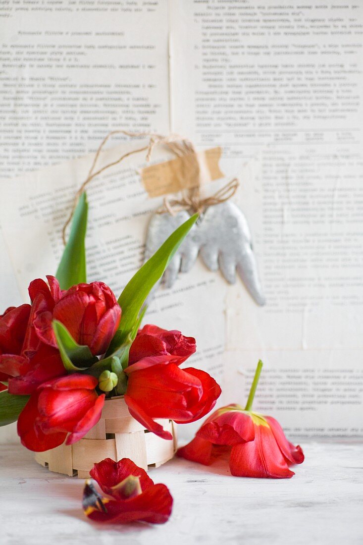 Rote Tulpen in einem Spankörbchen vor einer beklebten Wand