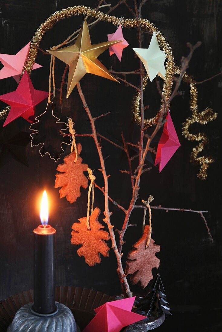 Dekorationidee für den Advent mit Schokoladenplätzchen und Sternen am Strauch hängend