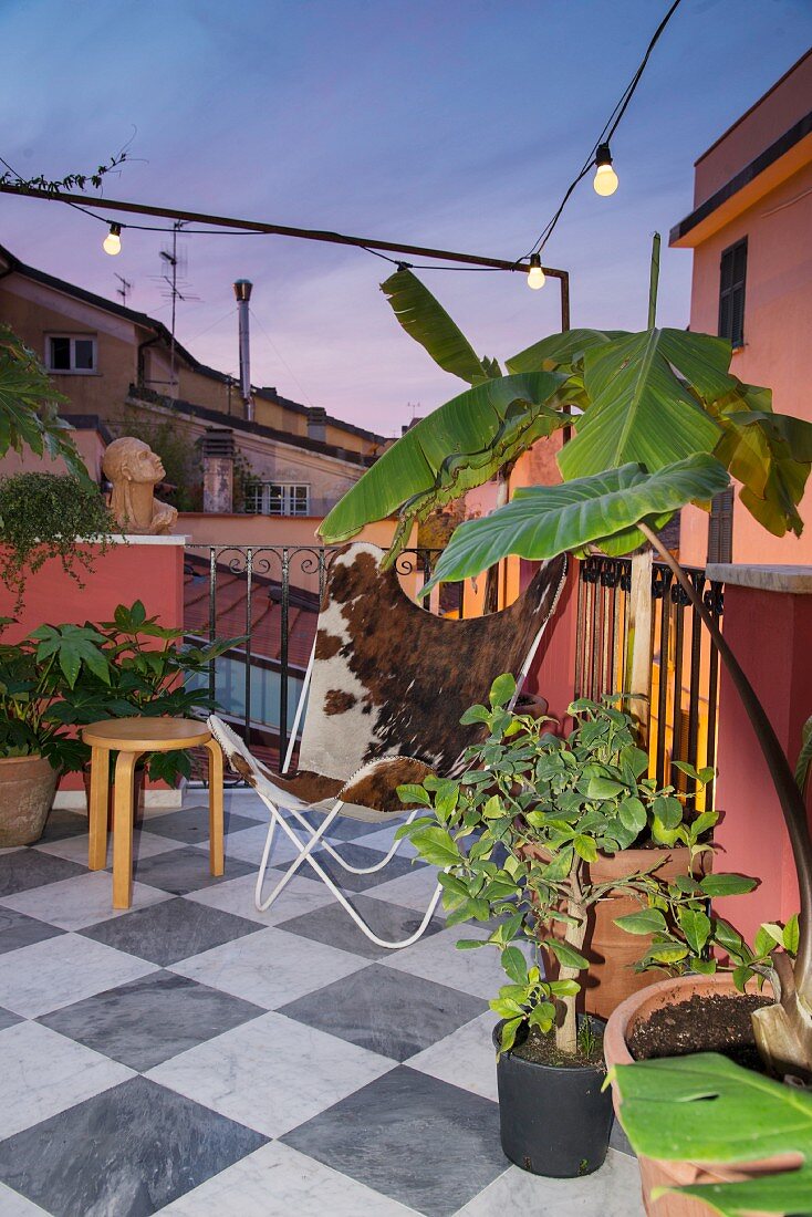 Butterfly armchair and potted plants on chequered marble floor tiles on terrace at twilight