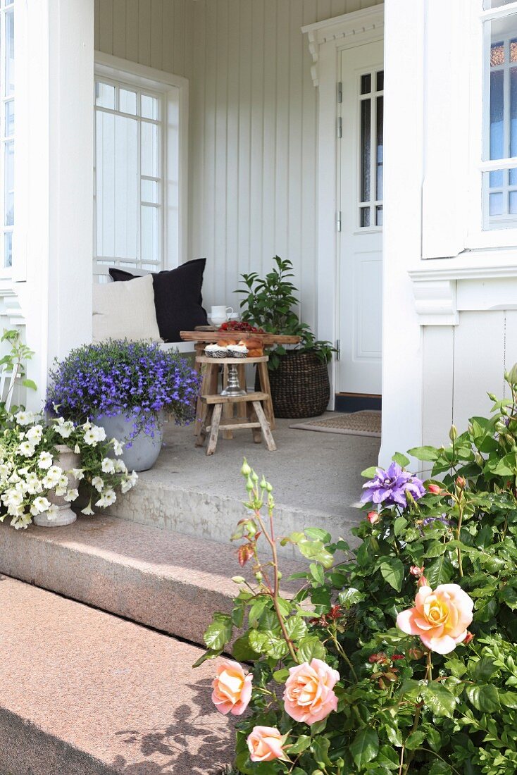 Flowering roses, potted plants on entrance steps leading to veranda of traditional country-house villa