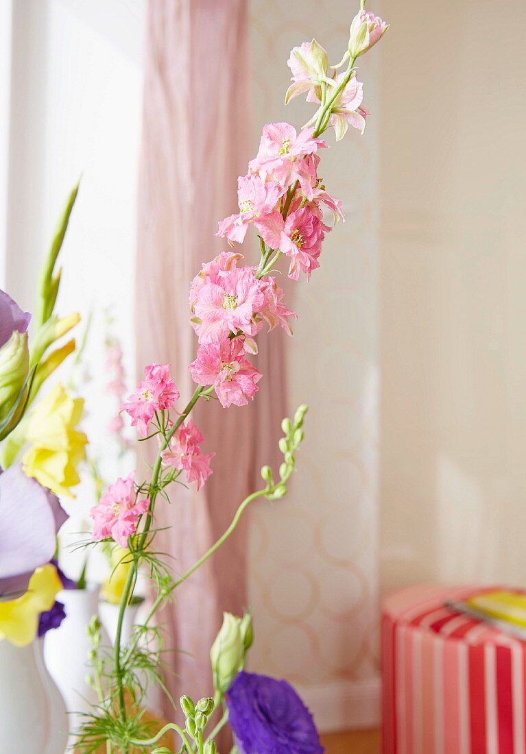 Blumenzweig mit rosa Blüten