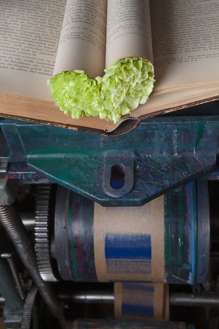 Buchseiten-Herz mit grünen Nelken auf Druckpresse