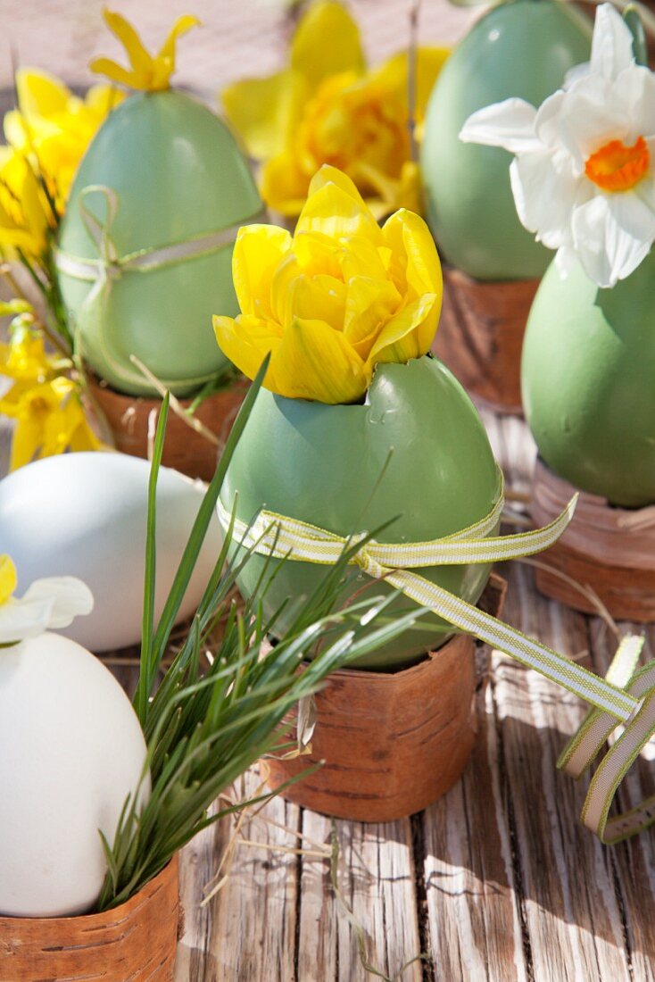 Green painted Easter eggs used as vases for yellow and white narcissus