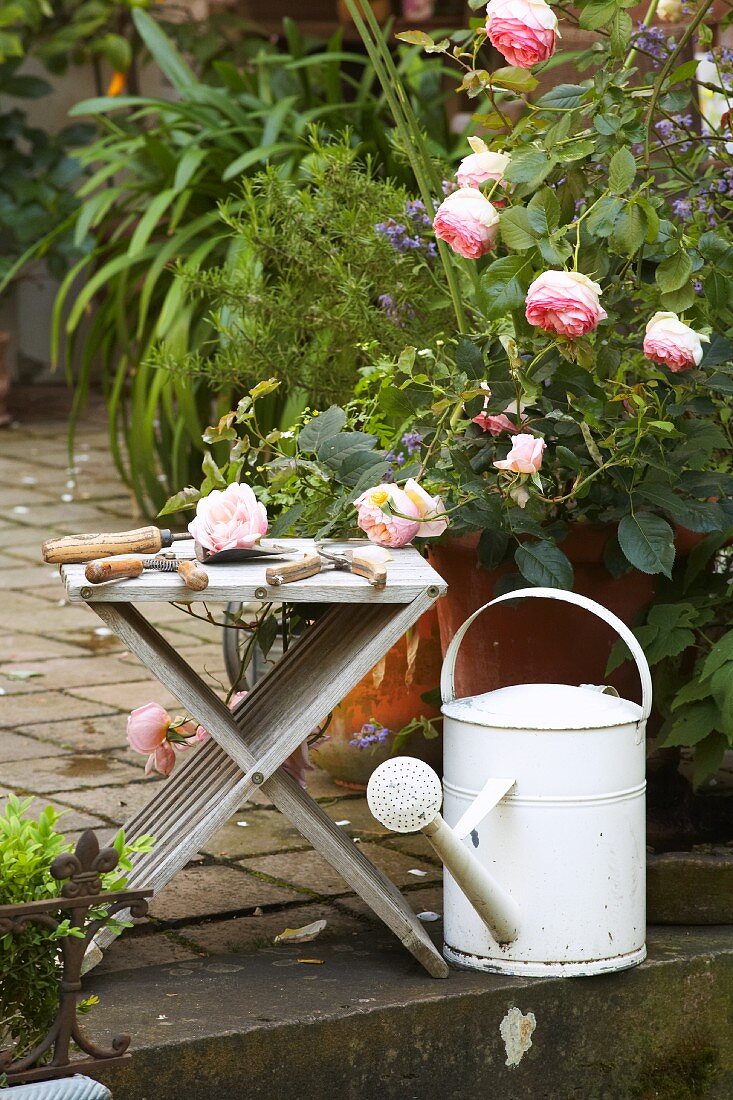 Vintage Gartenscheren auf Holzhocker neben Rosenblüten und weisser Gießkanne