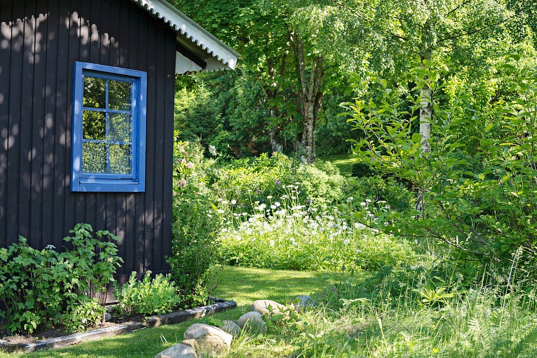 Wooden house with blue lattice window surrounded by summer garden