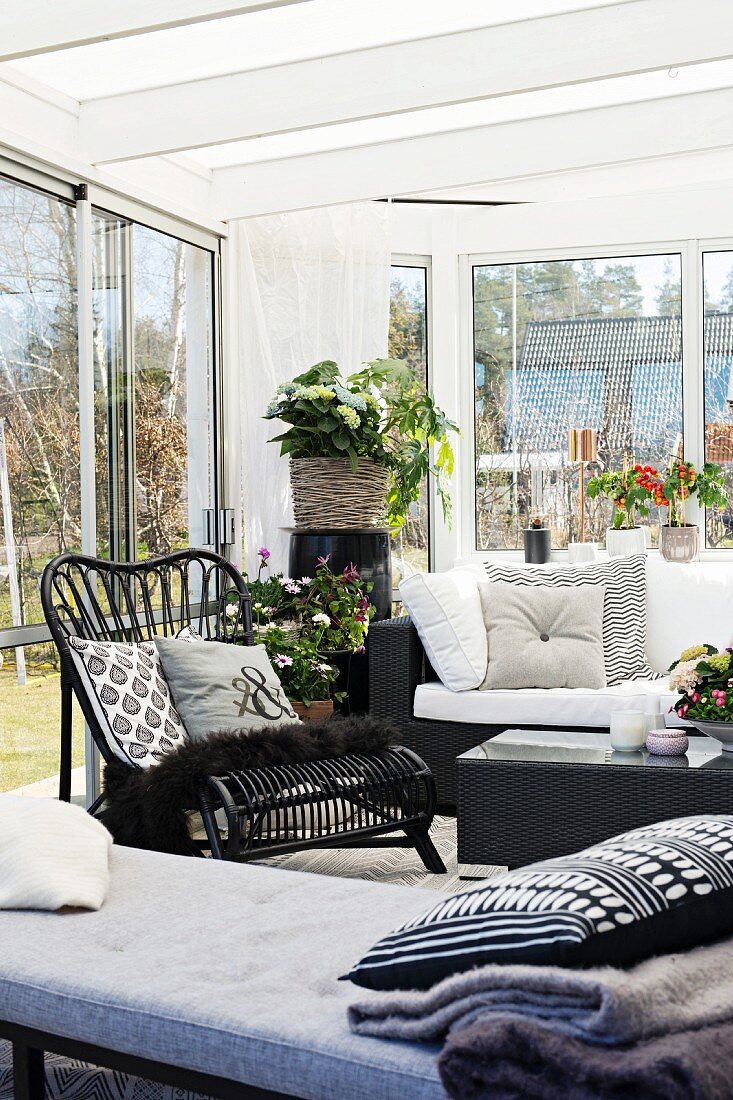 Couch in front of black cane chair and houseplants in conservatory extension