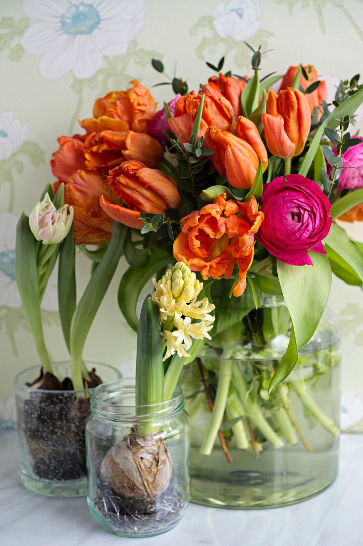 Orangefarbene Tulpen und pinkfrbene Ranunkeln in Glasvase, Hyazinthe und Tulpe in Glasgefässen