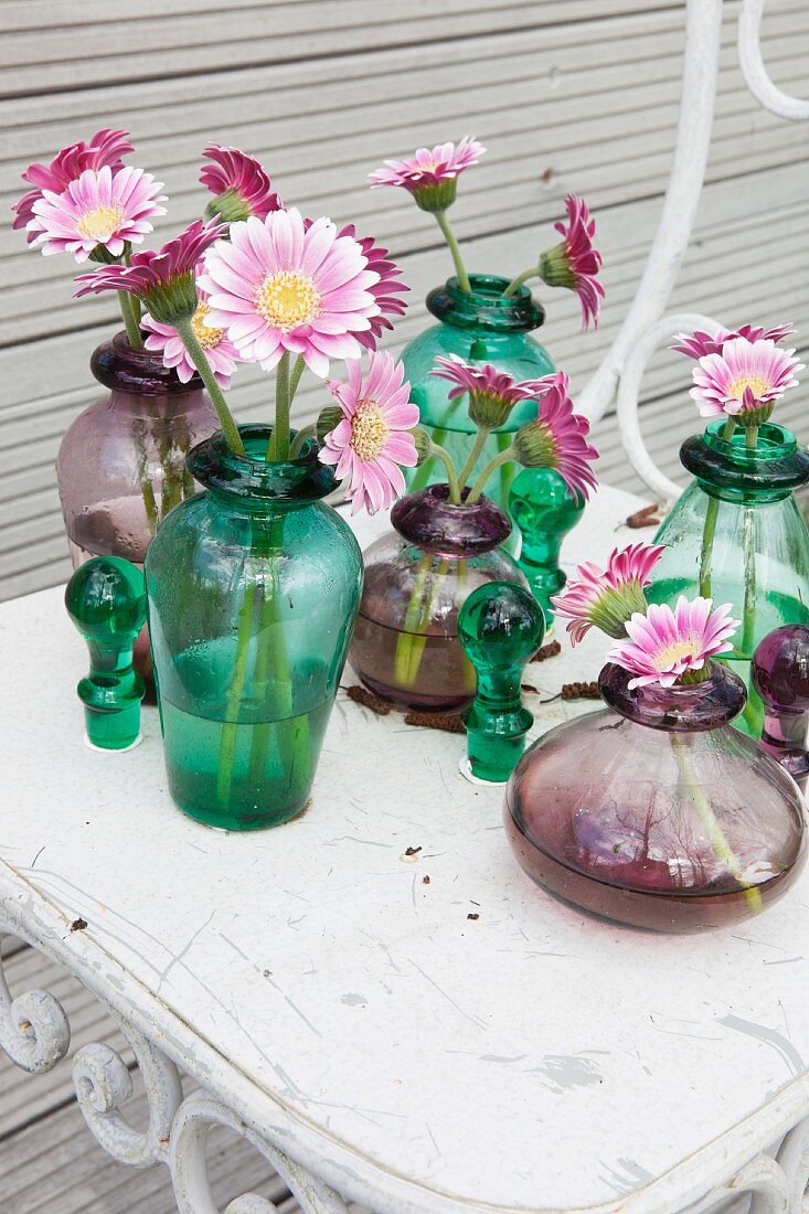 Pink gerbera daisies in various glass vases on metal chair