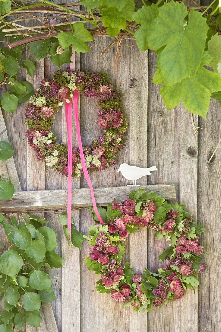 Wreaths of astrantia and vine leaves on board wall