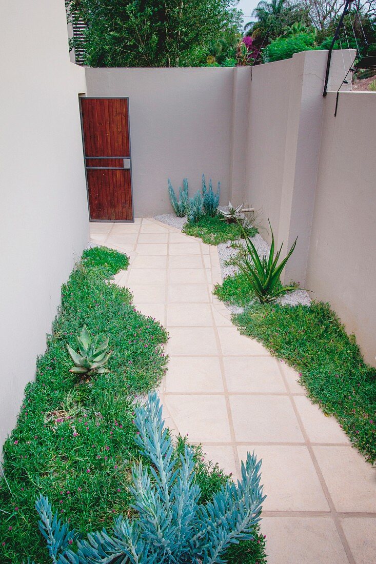 Pathway through courtyard between beds of succulents