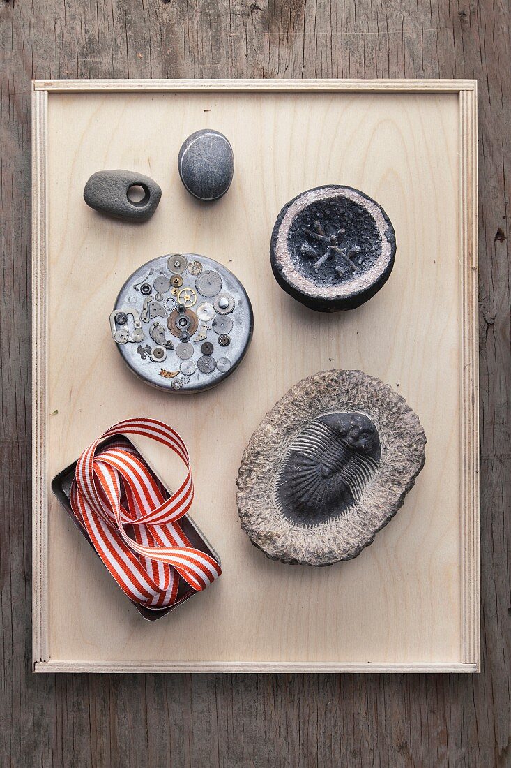 Pebbles, fossil, ribbon and buttons on wooden tray