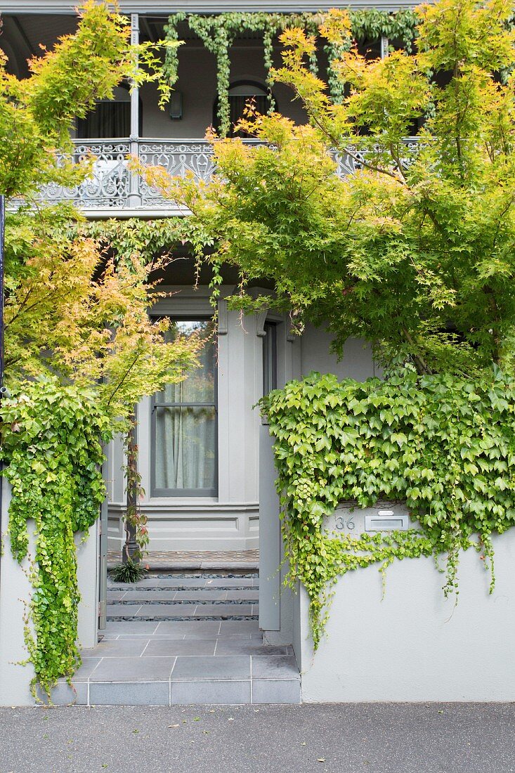 Facade cutout with nostalgic balcony railing and green, gray garden wall